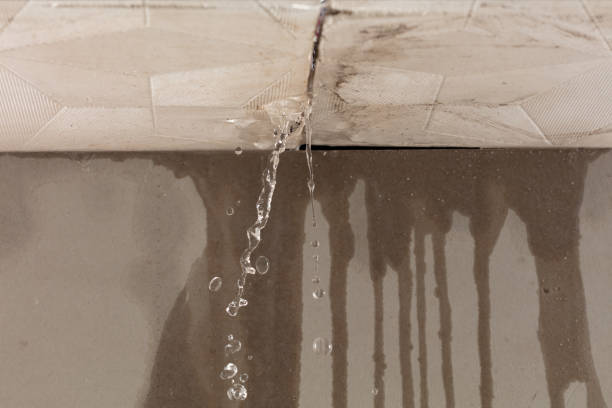 Professional Water Damage Repair technician working in Plantation, FL